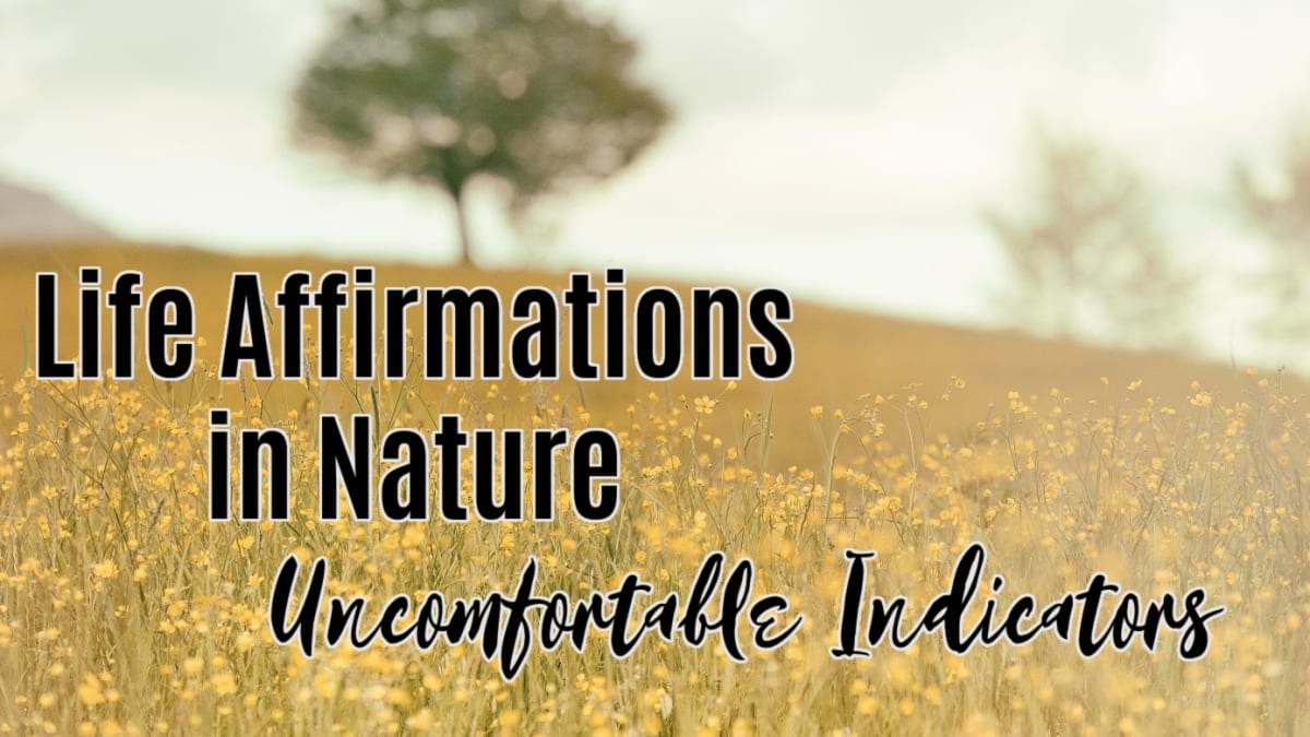 🌳 Uncomfortable Indicators