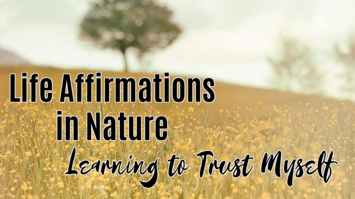 🌳 Learning to Trust Myself