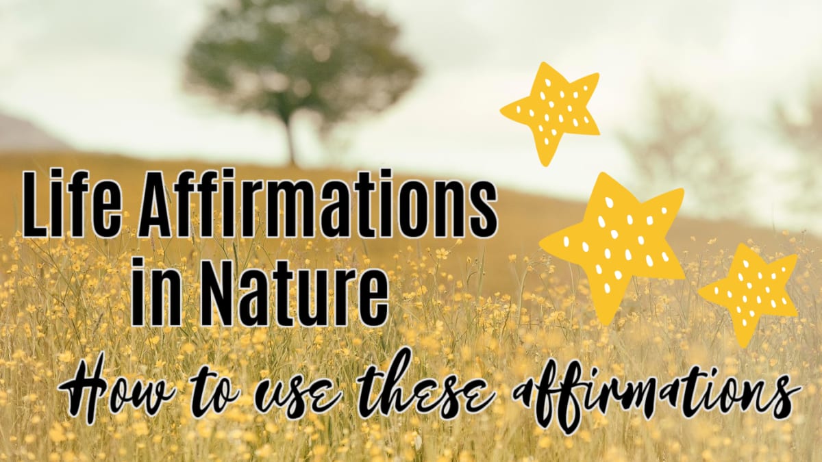 🌳 How to use the Life Affirmations in Nature
