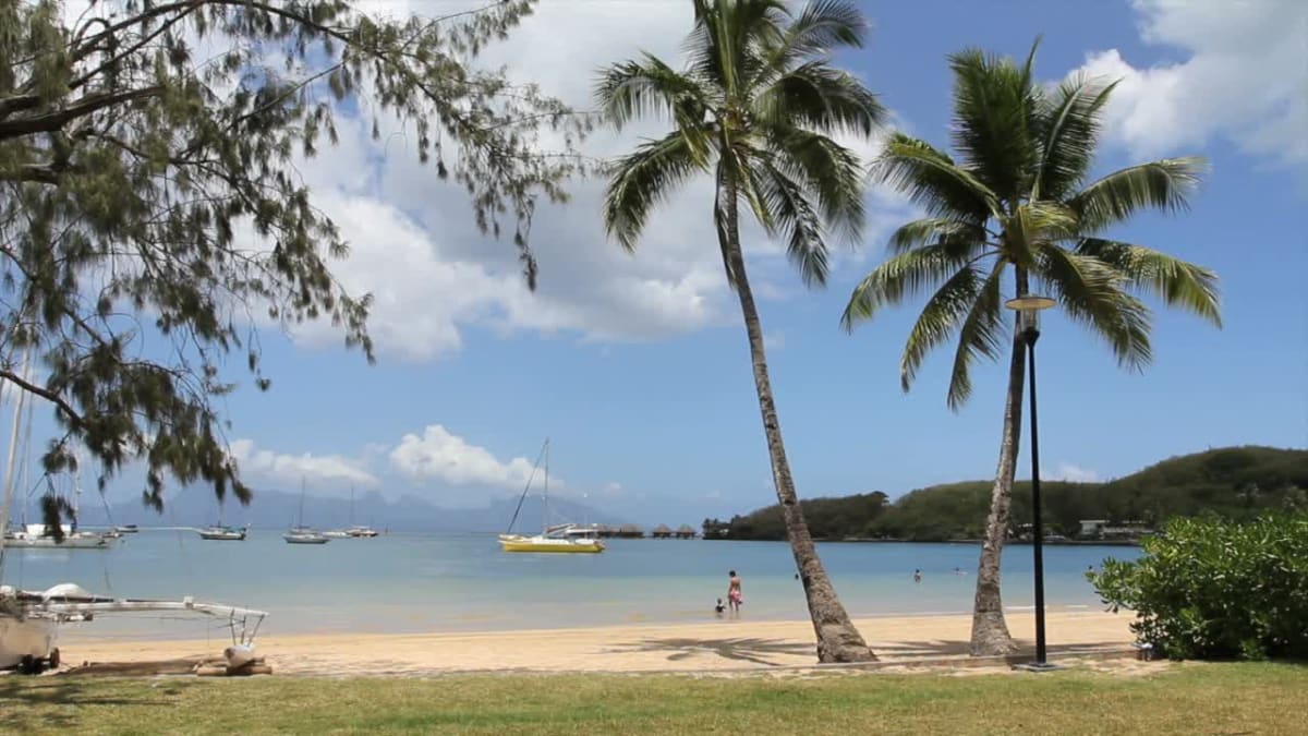 Beach Body Get Fit and in Swimsuit Shape - Rachael Meddows