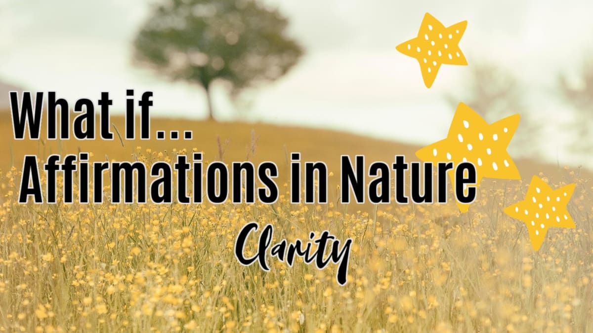 🌳 Clarity (What if?)