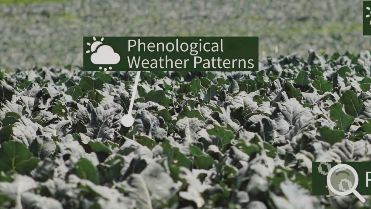 AgTools at IFPA Anaheim, CA