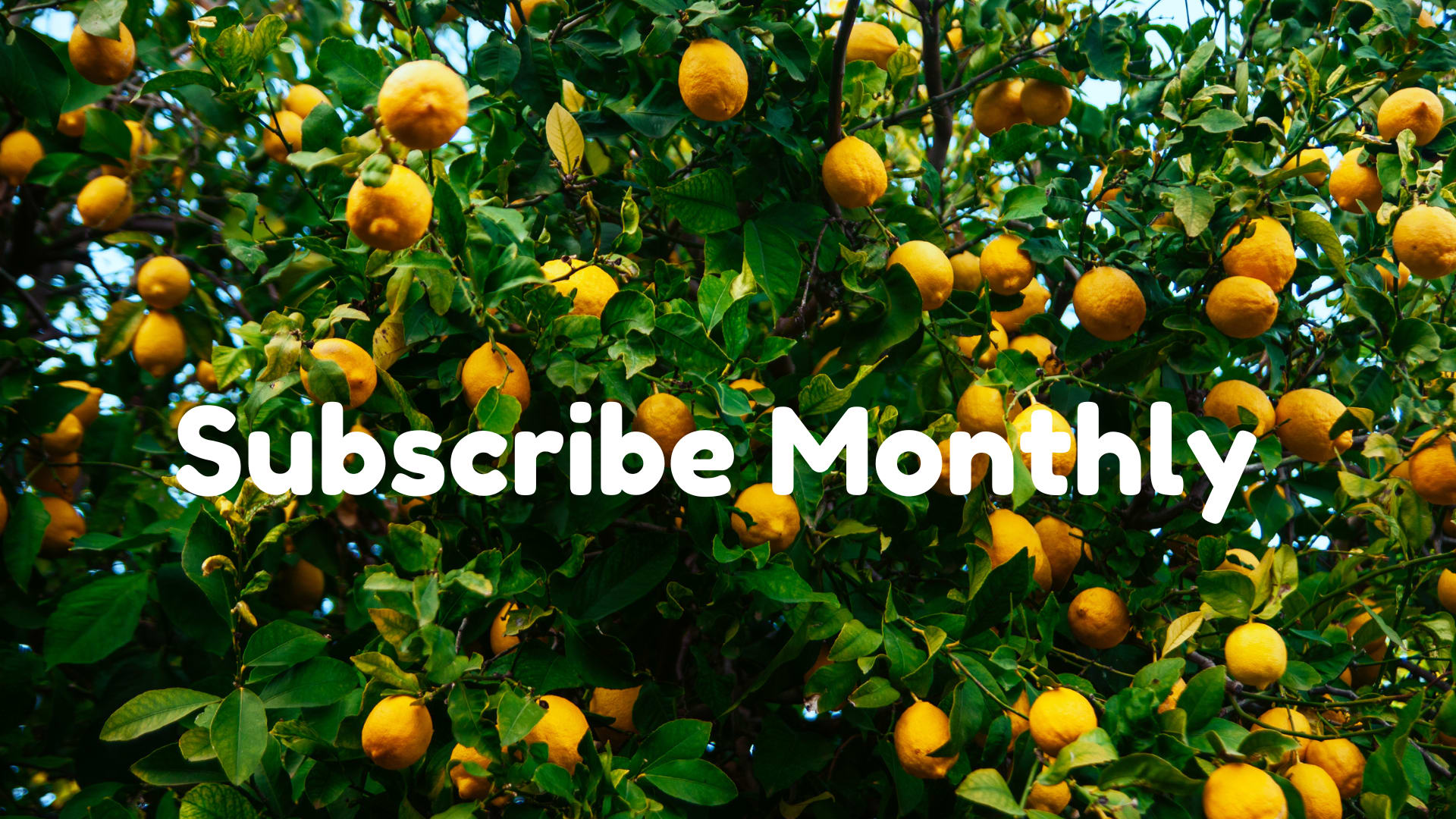 Subscribe Monthly