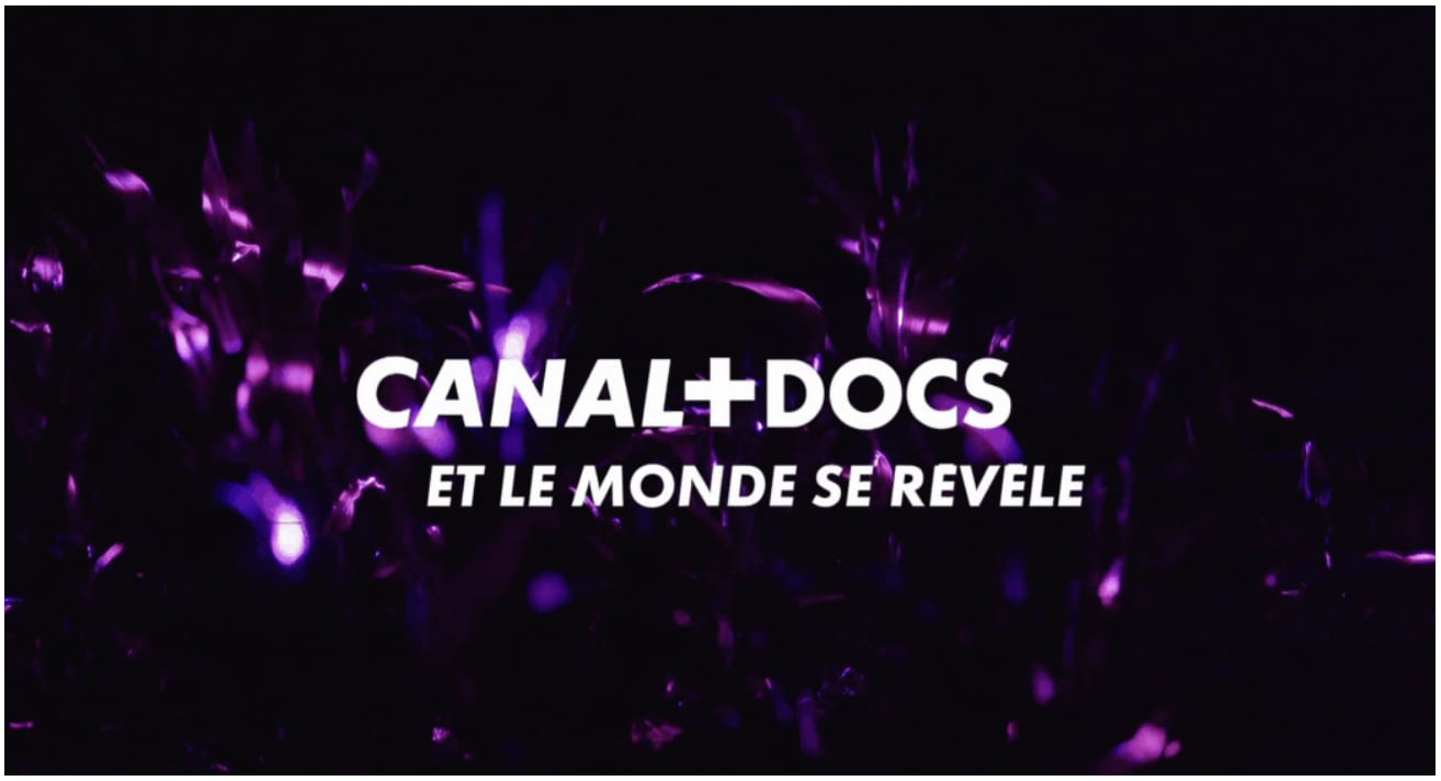 Canal+ Reignites Documentary Ambitions with Focus on Bold, Author-Driven Stories