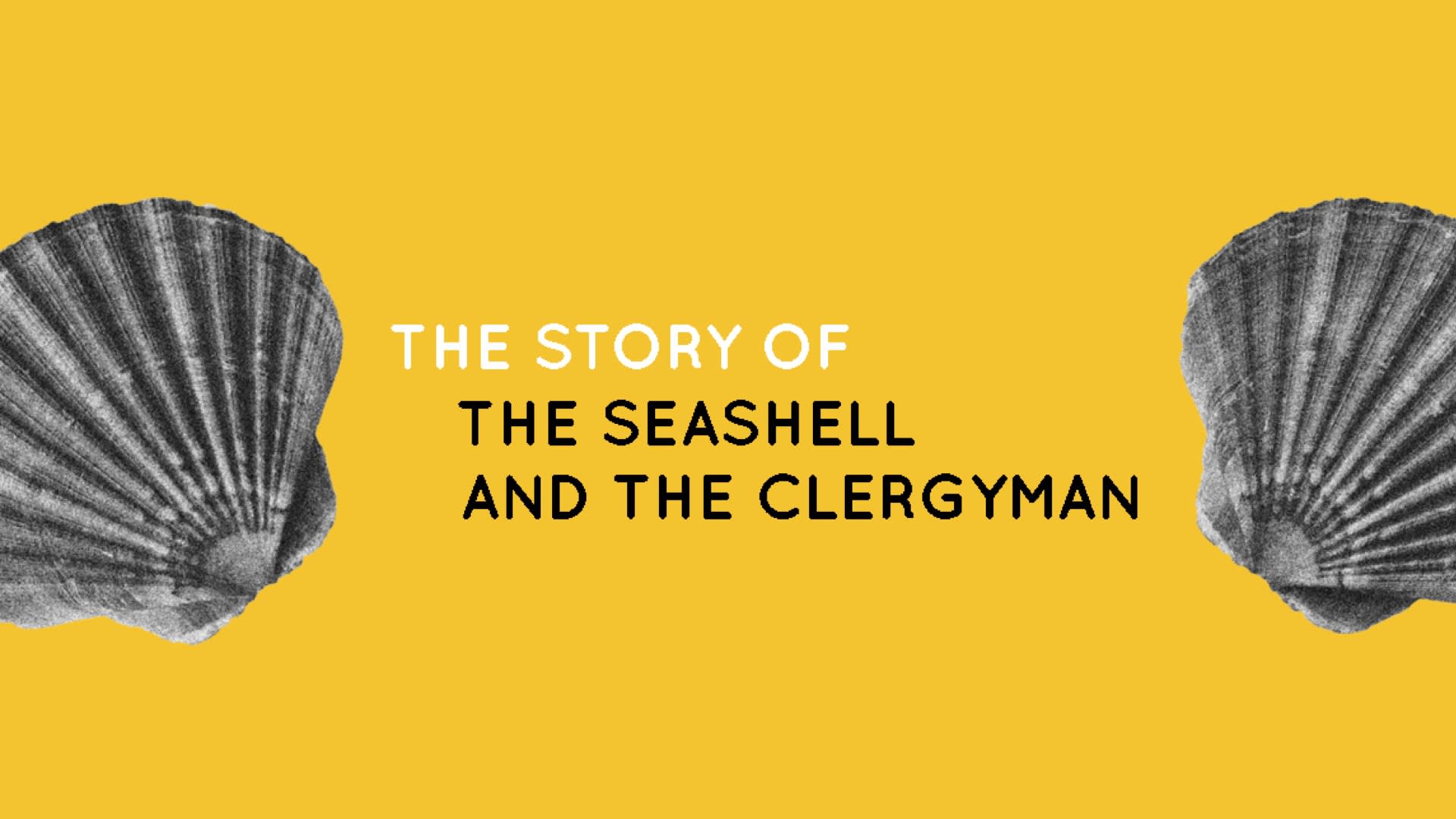 The Story Of The Seashell And The Clergyman