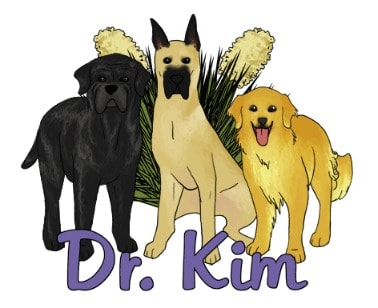 Dr. Kim Bloomer - The Weird Animal Girl