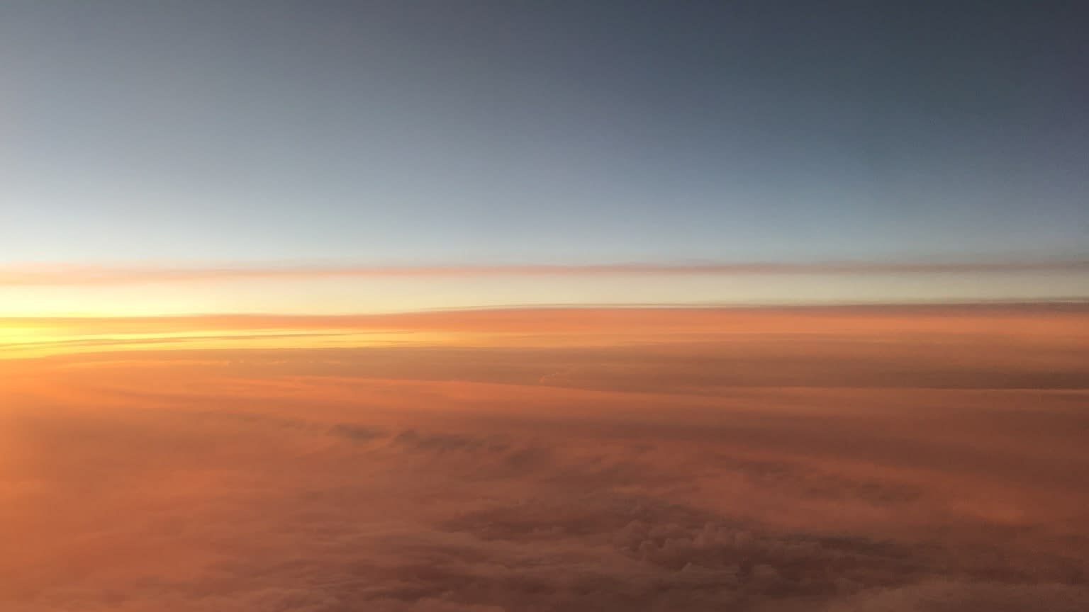 Donate to my favourite charity