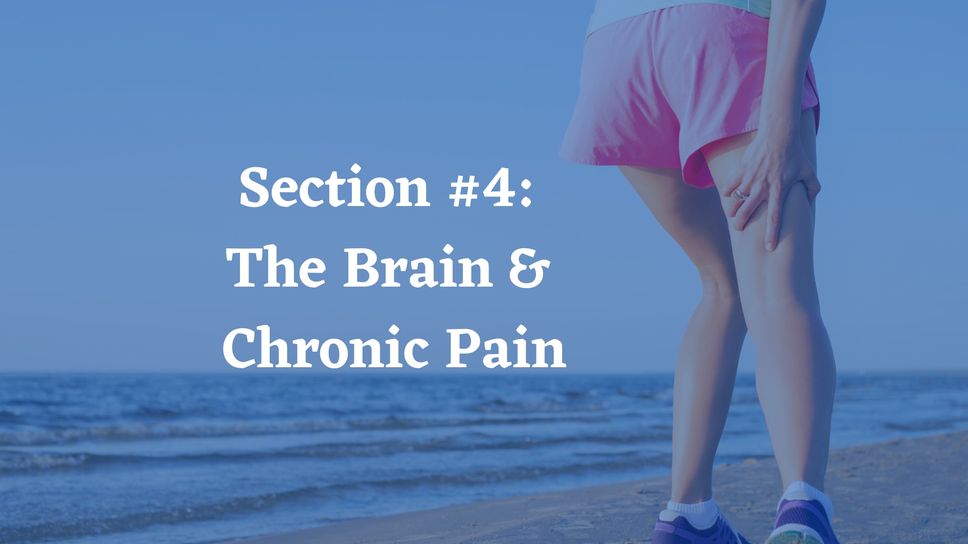 Section #4: The Brain & Chronic Pain