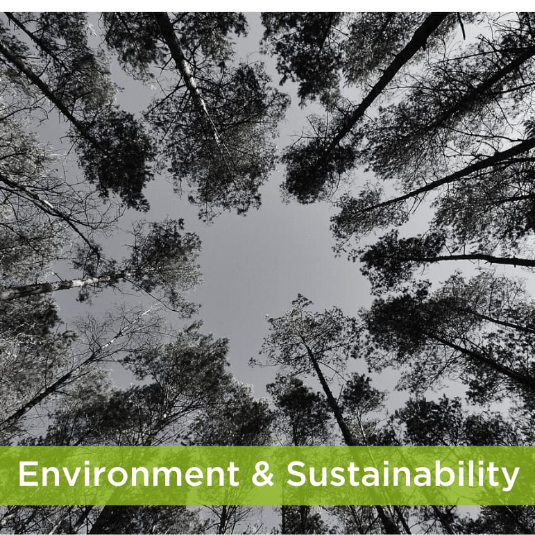 Norfolk Veg Box Story - Neil Foley & Richard Ewin