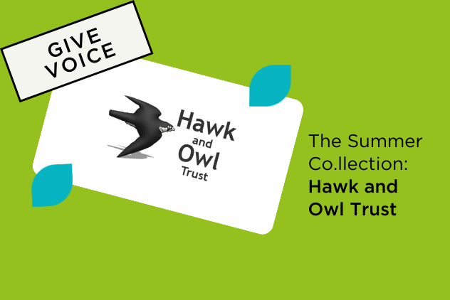 Celebrating the Hawk & Owl Trust