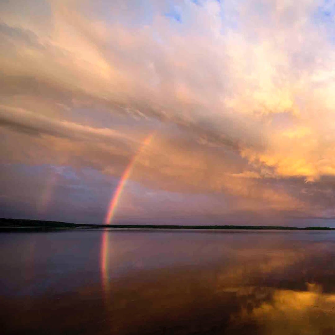 Appreciation of the Mind