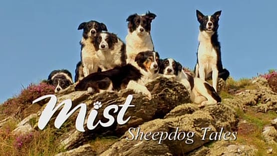 Mist Sheepdog Tales Season 2