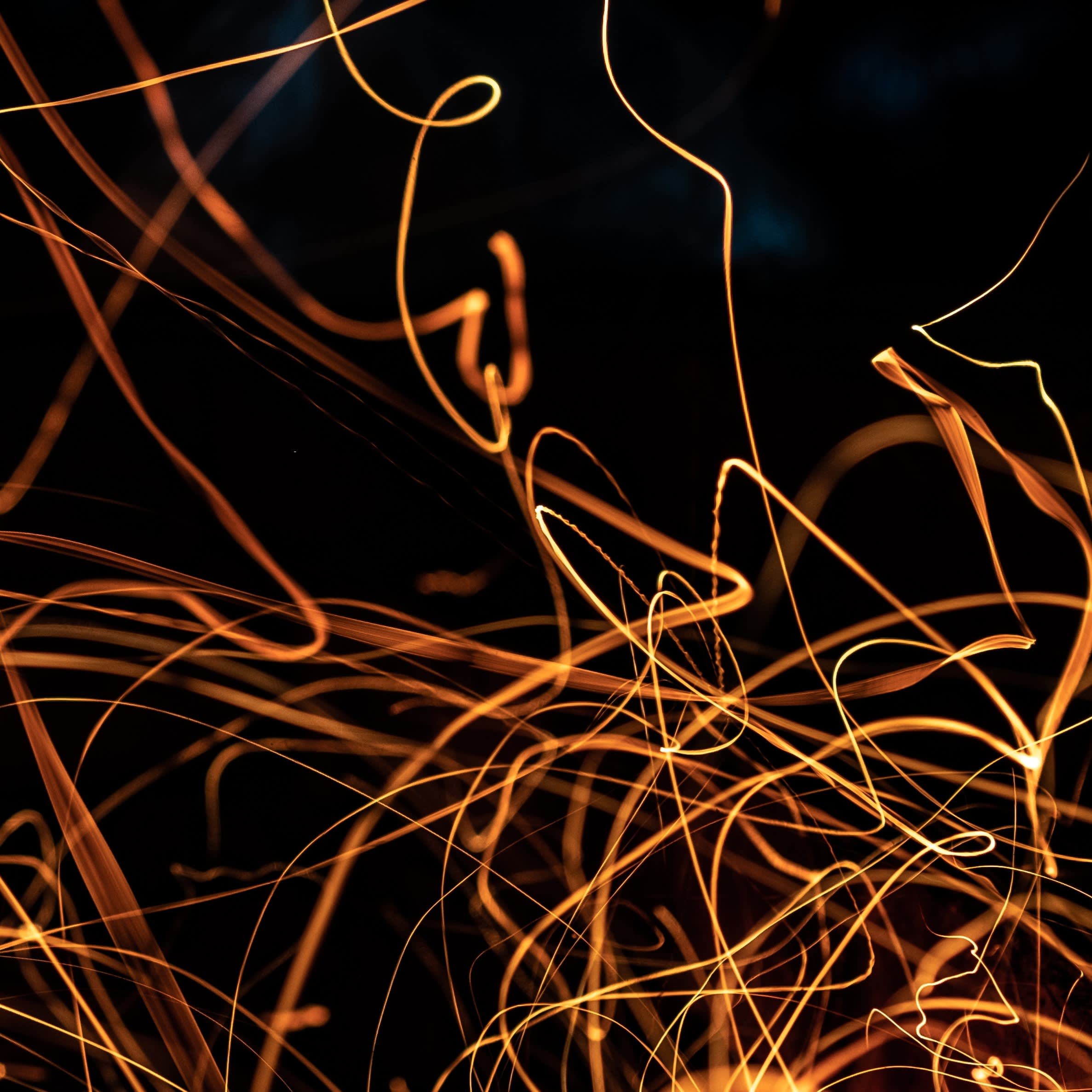 Pitches for films/tv slots that never went any further. 