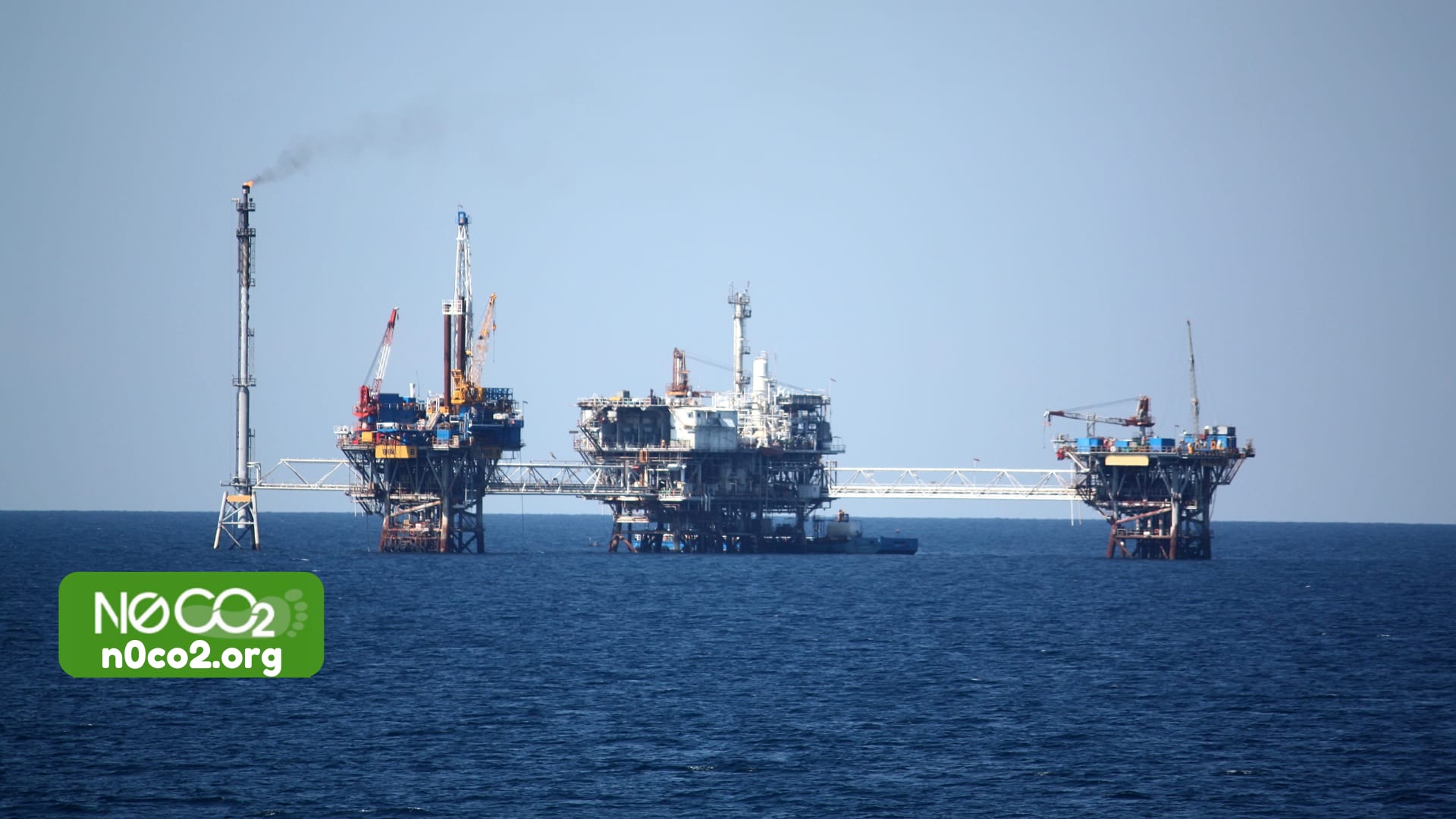 Carbon Storage or Plant Trees?