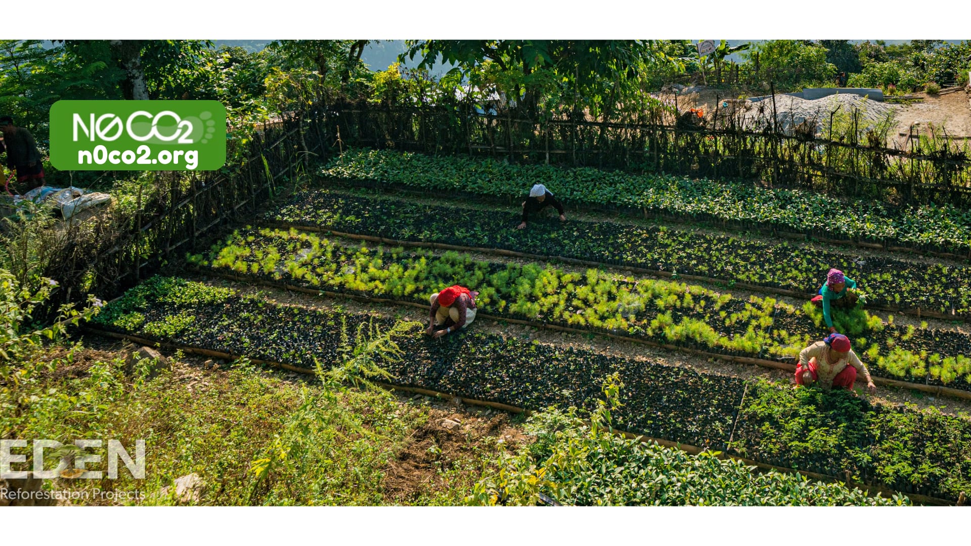 How Carbon Credits can transform Communities