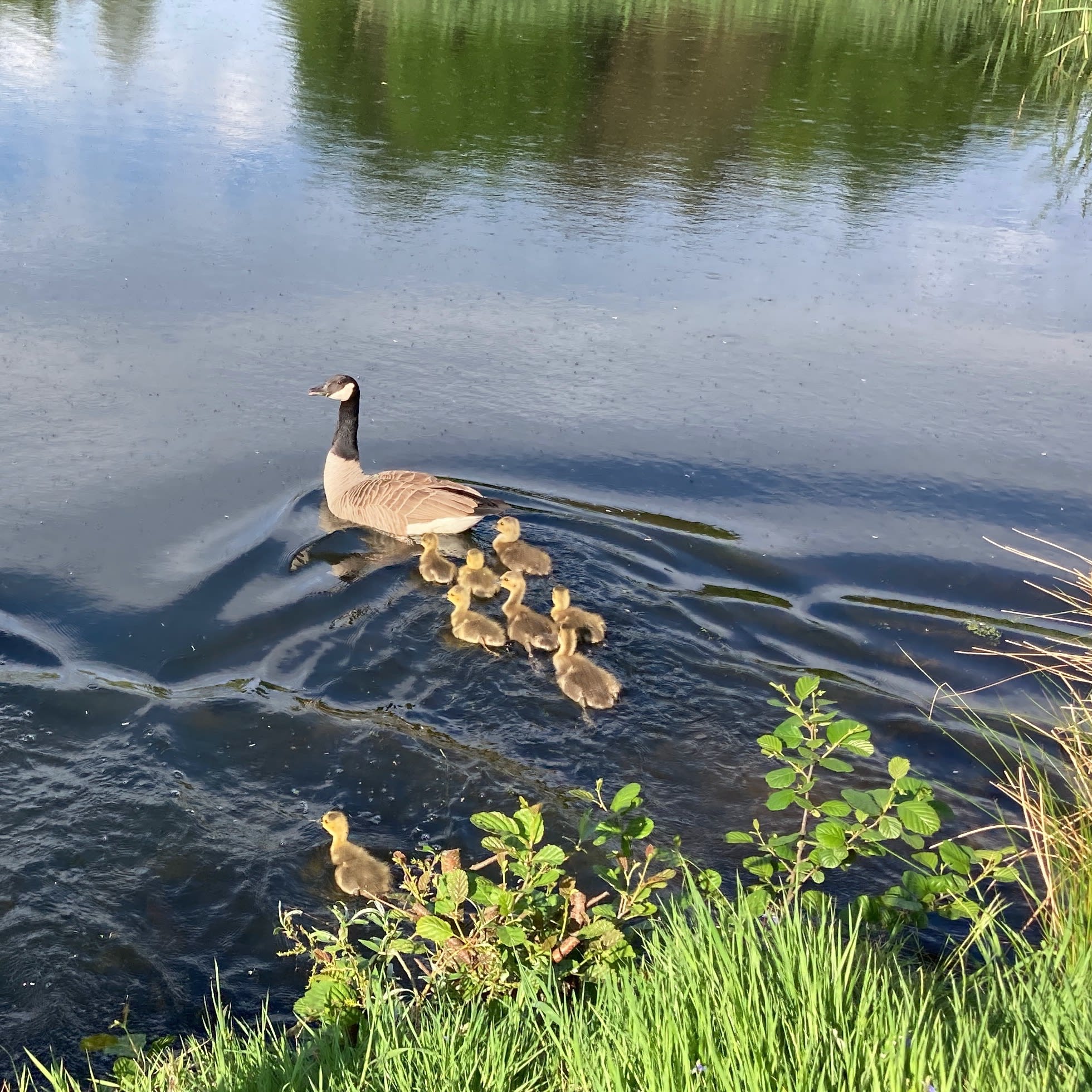 with LOVE and a GOOD EXAMPLE