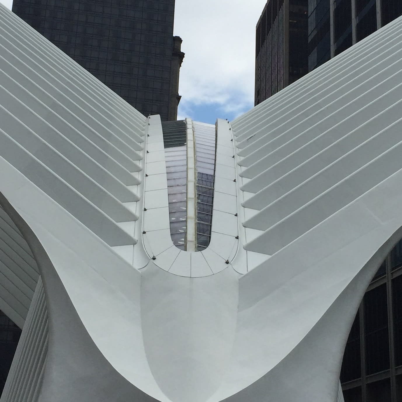 Pussytizer Checkmate Dickmatize (Part 2)