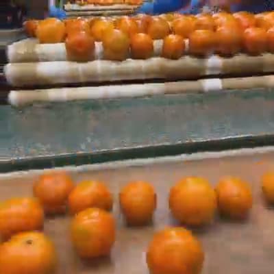 Working hard to bring Noble Juicy Crunch to a store near you!