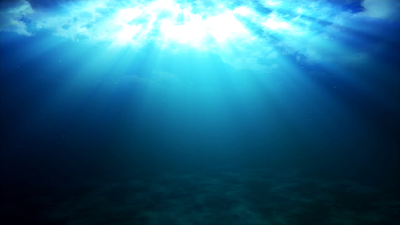 Quote by Howard Zinn