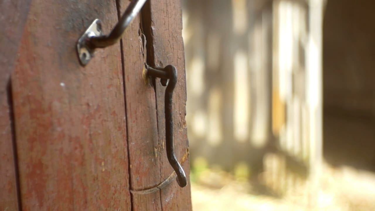 Quote by Clarissa Pinkola Estés