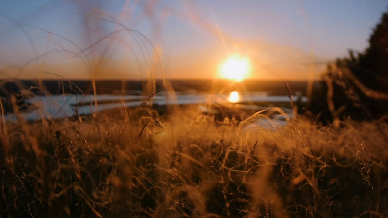 Quote by Ravi Shankar