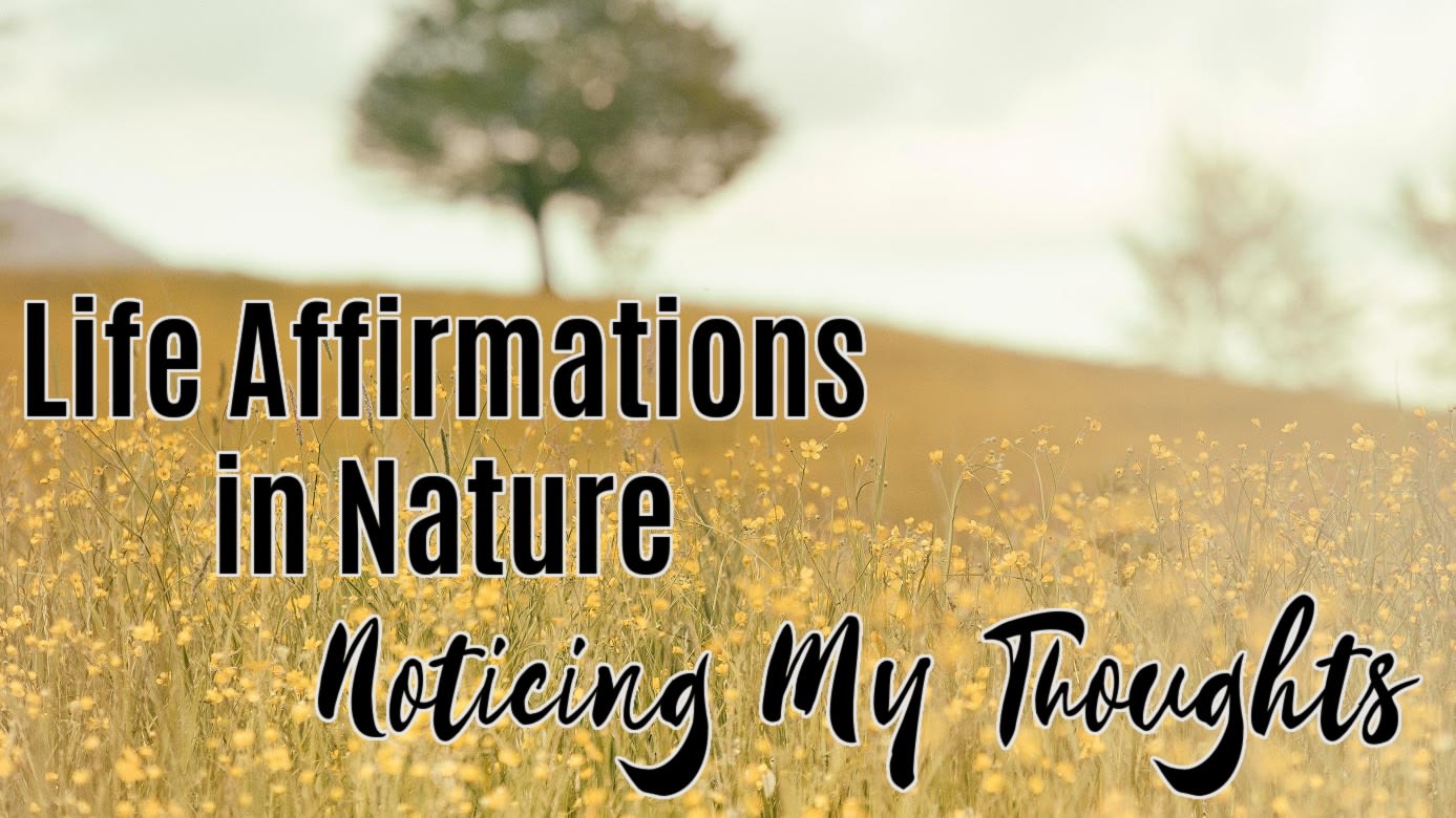 🌳 Noticing My Thoughts