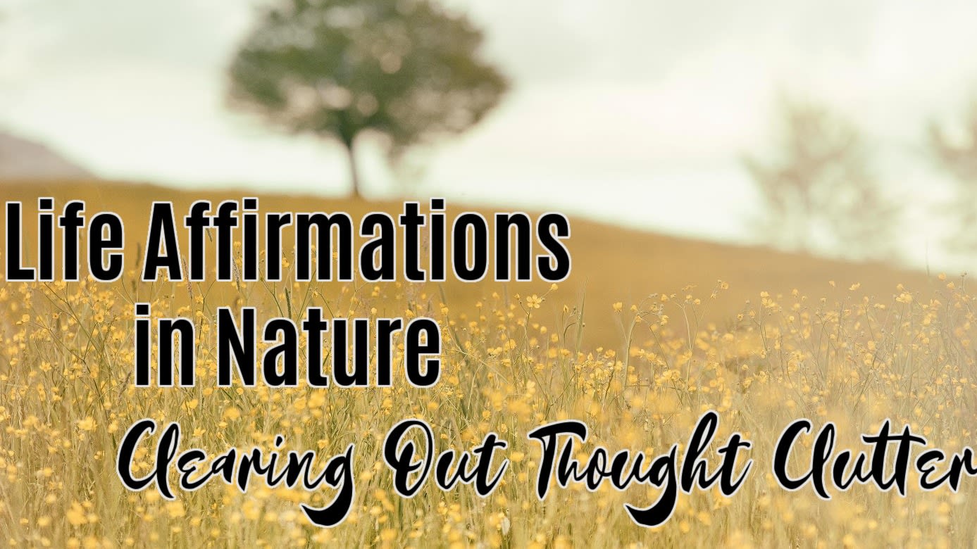 🌳 Clearing Out Thought Clutter