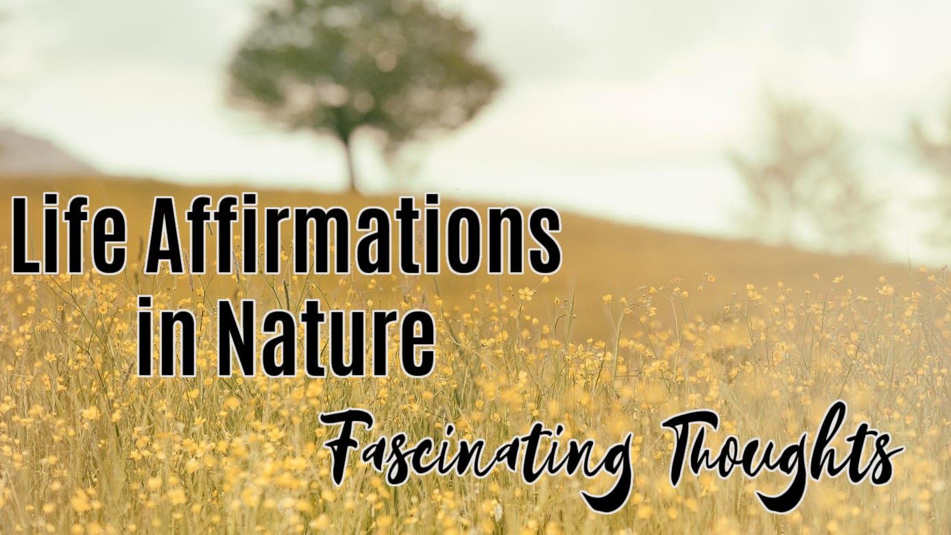 🌳 Fascinating Thoughts