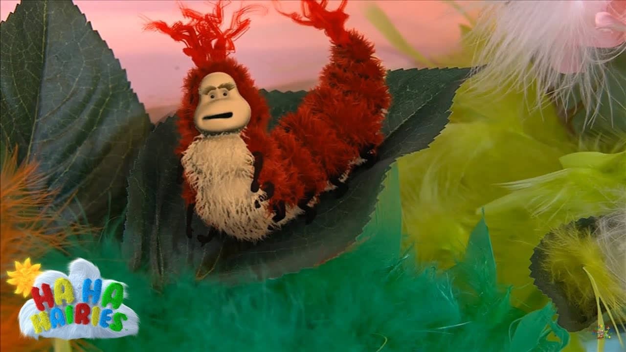 Ha Ha Hairies - The Day Pa found a Crimpy Crawly