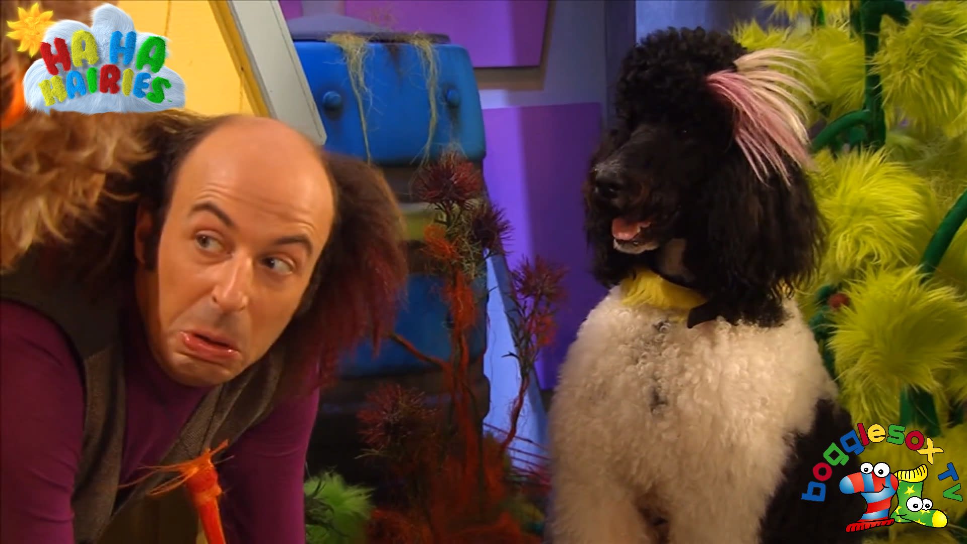 Ha Ha Hairies - The Day Chihua Ha Ha Followed His Nose