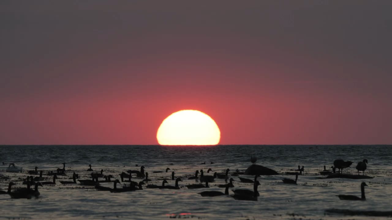 Jerry Spinelli Quote