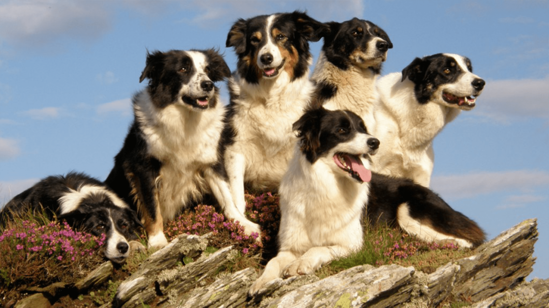 20 Minutes - Time for Breakfast with Lucy