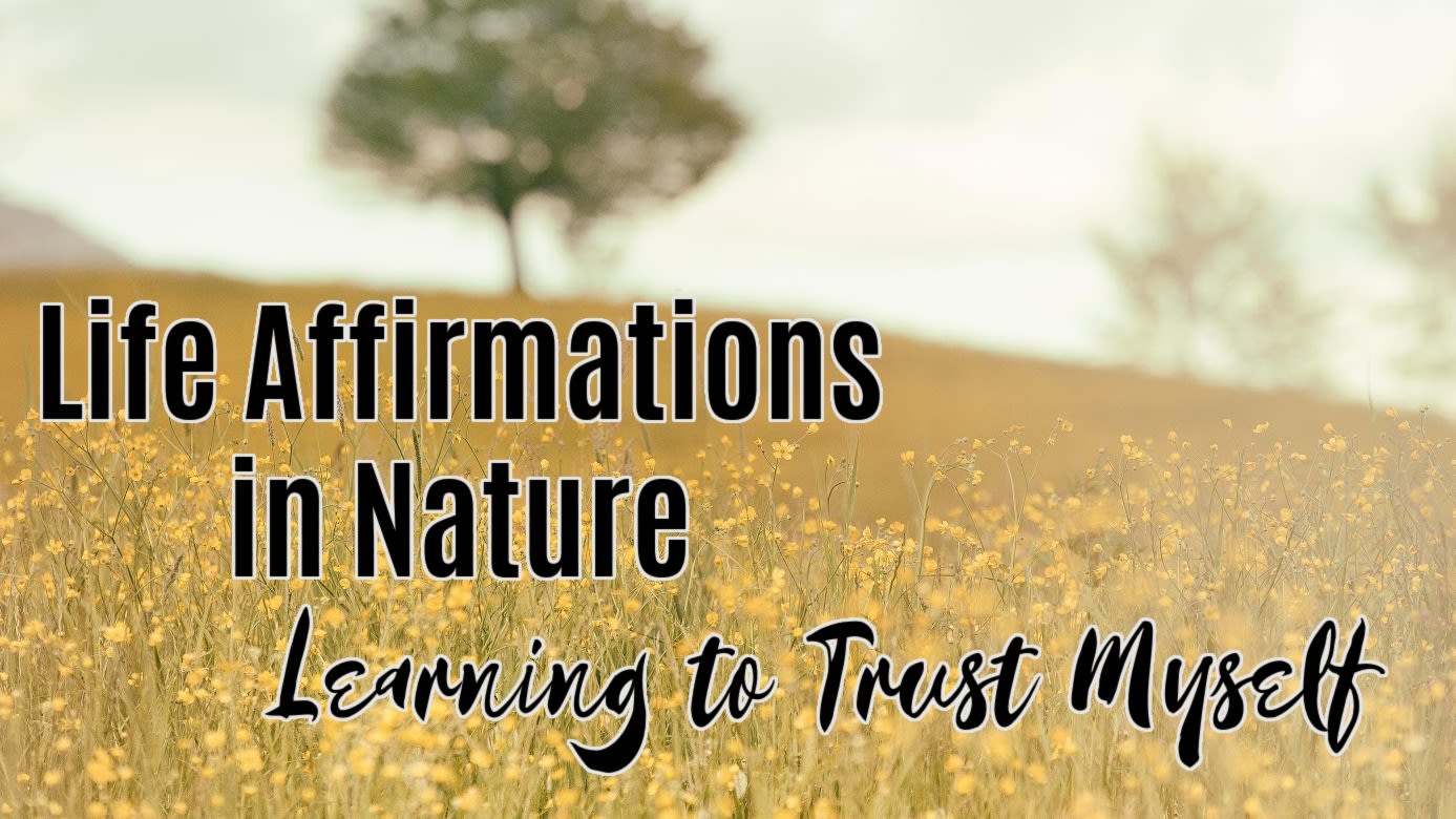 🌳 Learning to Trust Myself