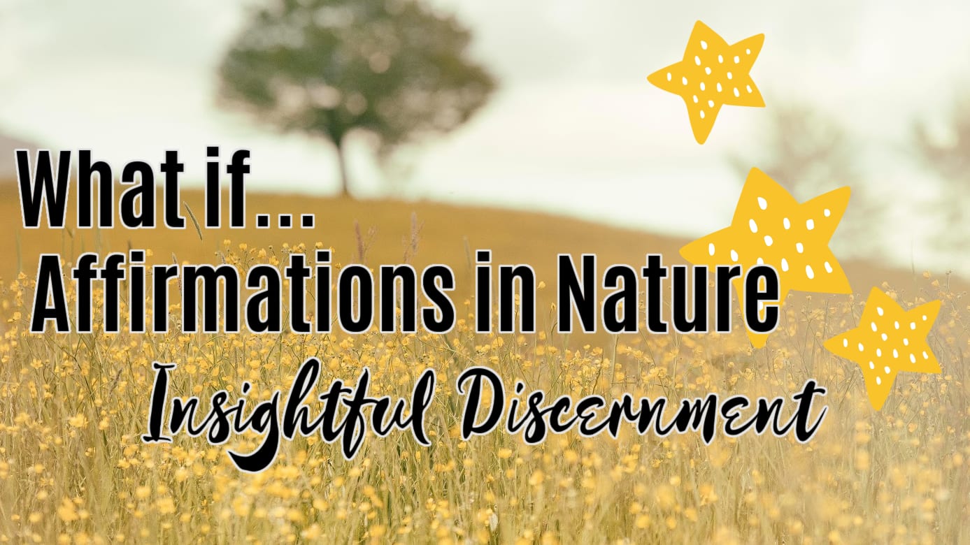 🌳 Insightful Discernment (What if?)