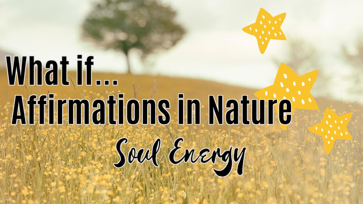 🌳 Soul Energy (What if?)