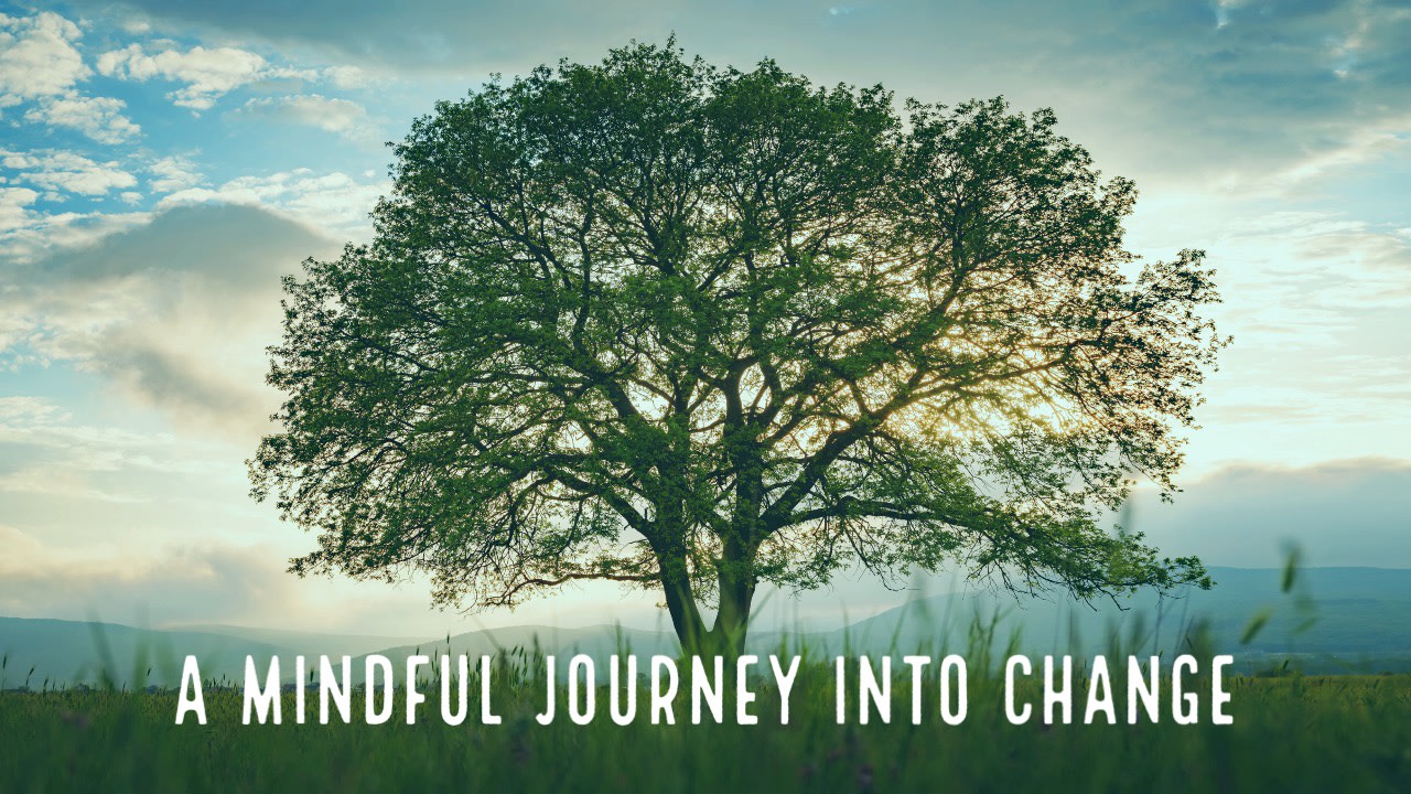 Dance of Impermanence: A Mindful Journey into Change