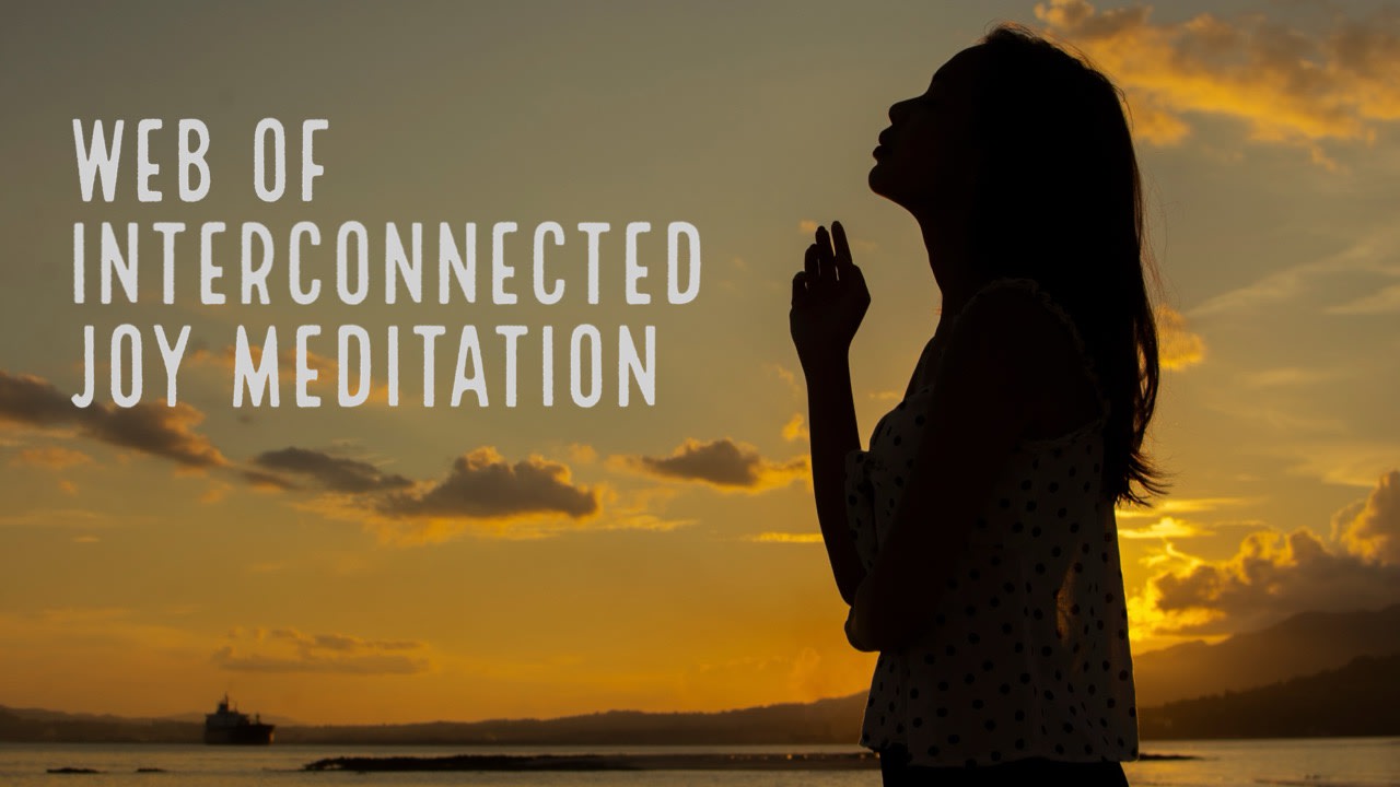 Web of Interconnected Joy Meditation