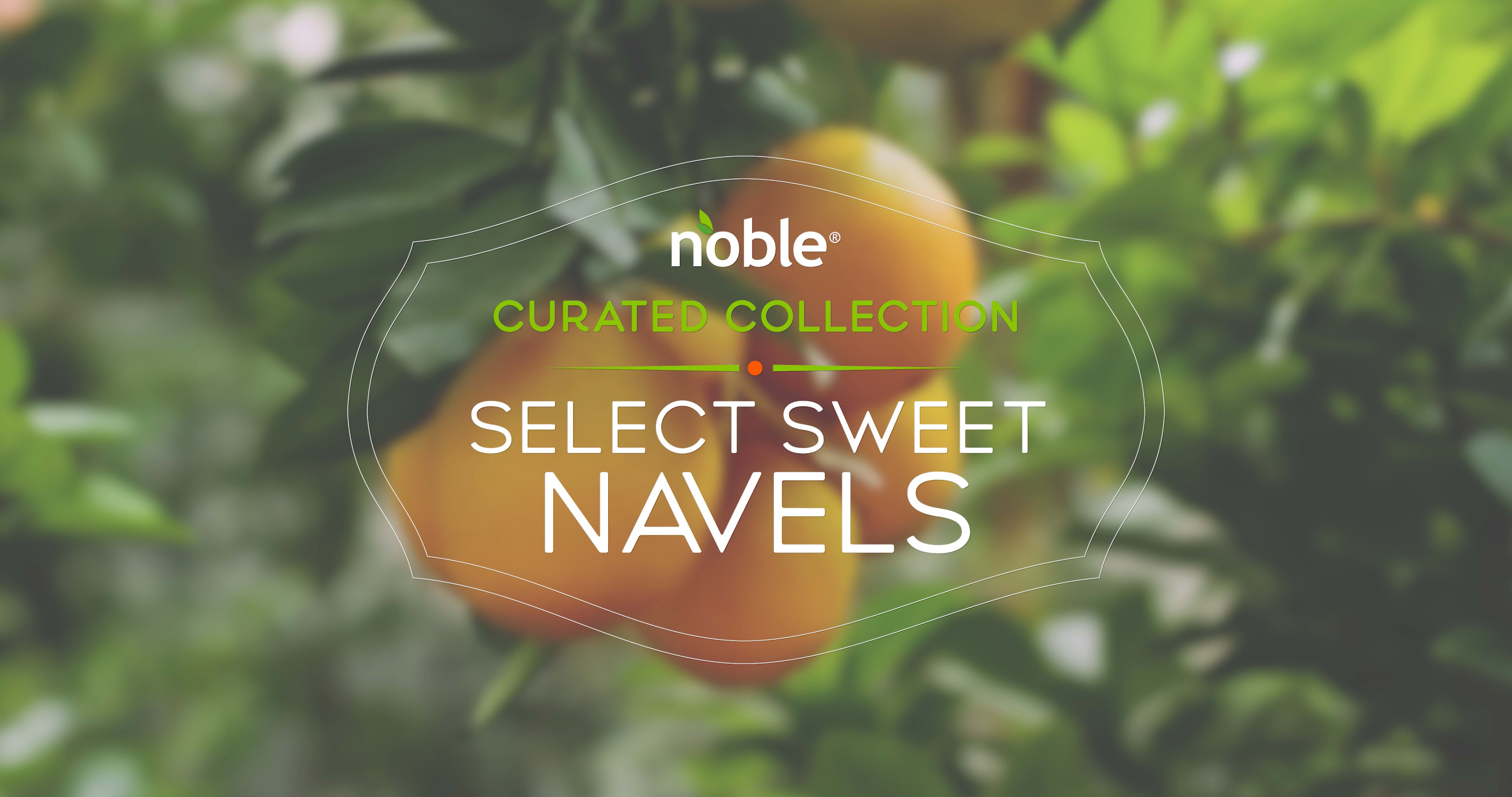 About Noble Navel Growers