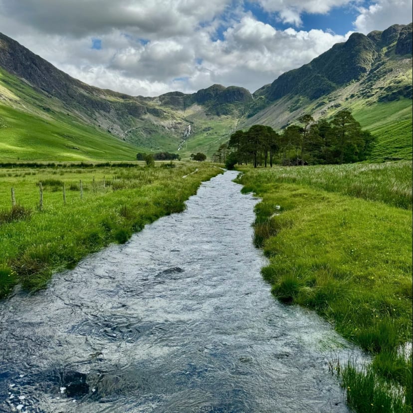 Calming Water & Nature Ambience