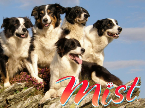 Mist: Sheepdog Tales