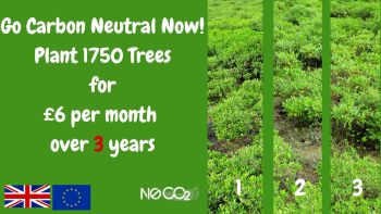 Go Carbon Neutral over 3 years
