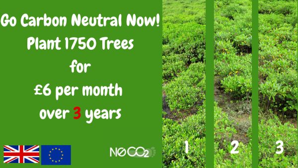 Go Carbon Neutral over 3 years