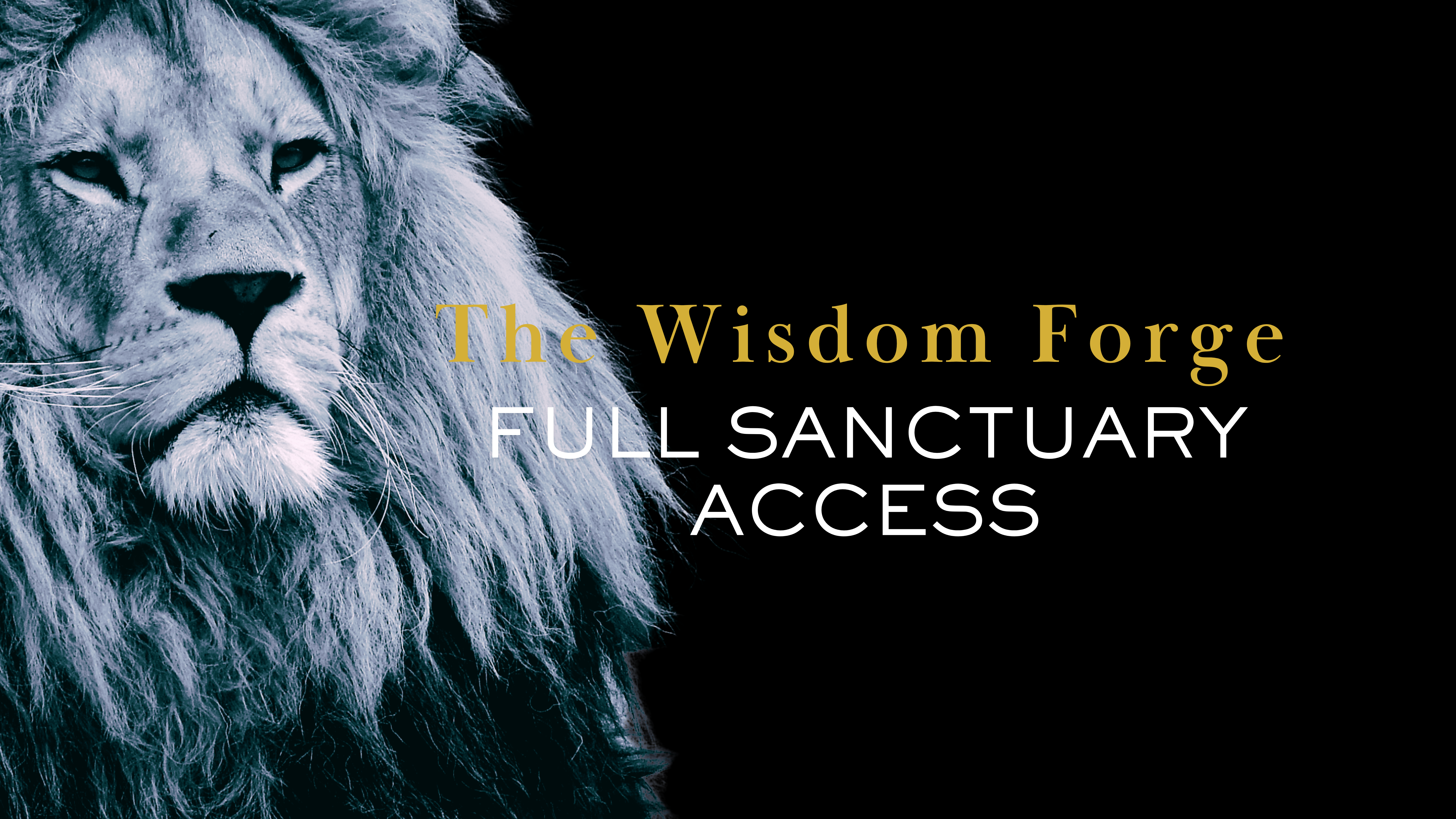 The Wisdom Forge collection