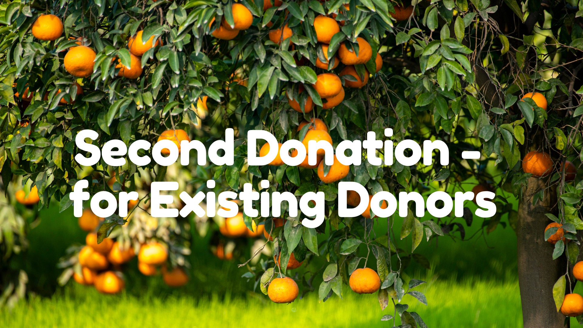 Second Donation