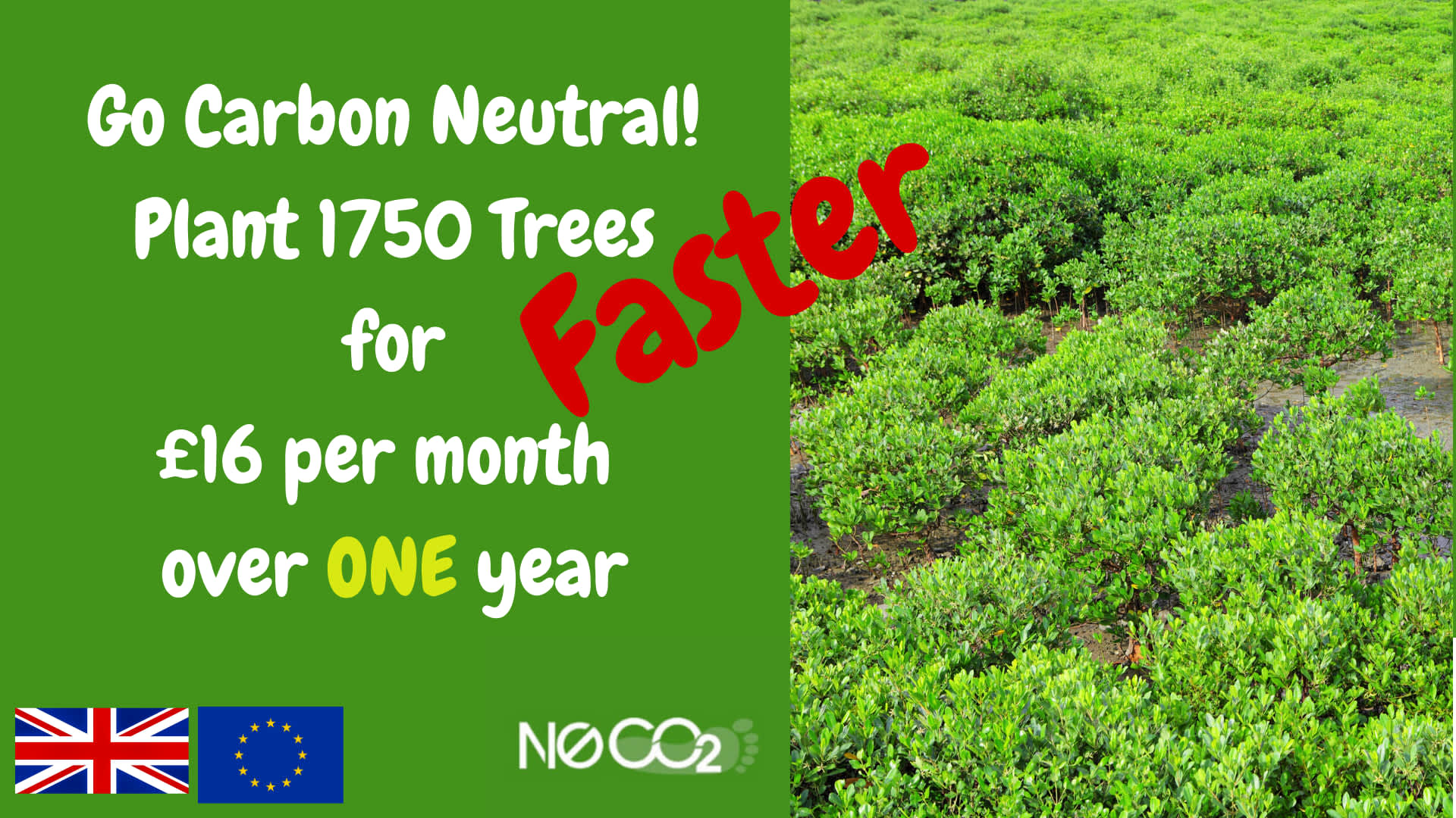 Go Carbon Neutral over 1 year