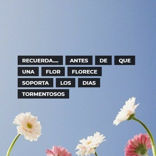 Crea Tu Frase – Frase #265783: Recuerda.... ANTES de que una flor florece  soporta los dias tormentosos