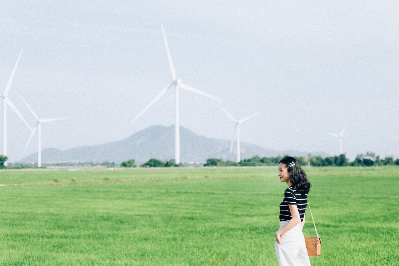 Cánh đồng điện gió mùa lúa vàng