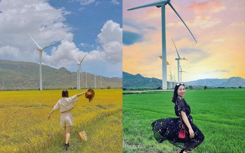 Mỗi mùa mỗi vẻ - điện gió Đầm Nại