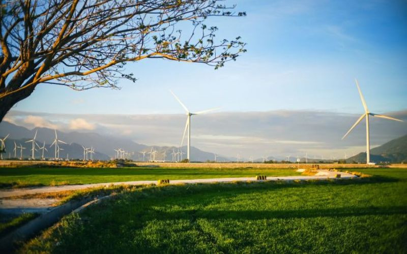 Vẻ đẹp đồng quê yên bình tại Đầm Nại