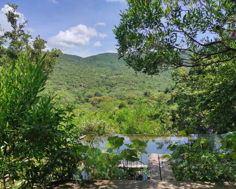 Núi rừng bao quanh Vịnh Vĩnh Hy